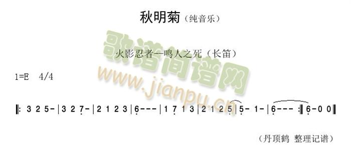 秋明菊1