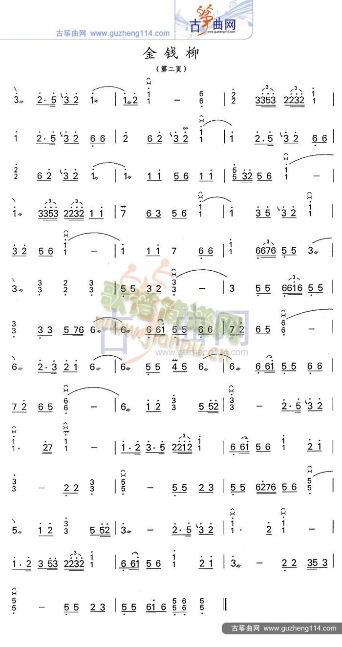 金钱柳2