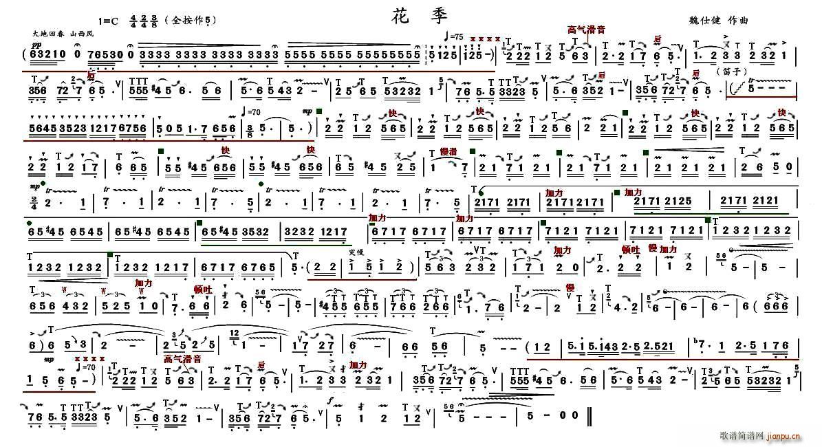 花季 葫芦丝等1