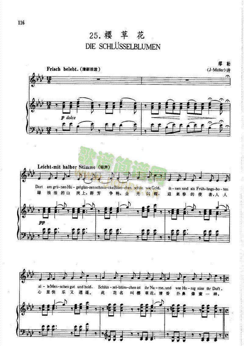 樱草花(钢伴) 歌曲类 钢琴伴奏谱1