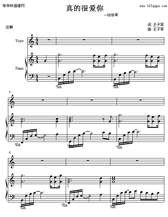 真的很爱你-王子军―艺1