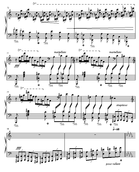 森林的呼啸10