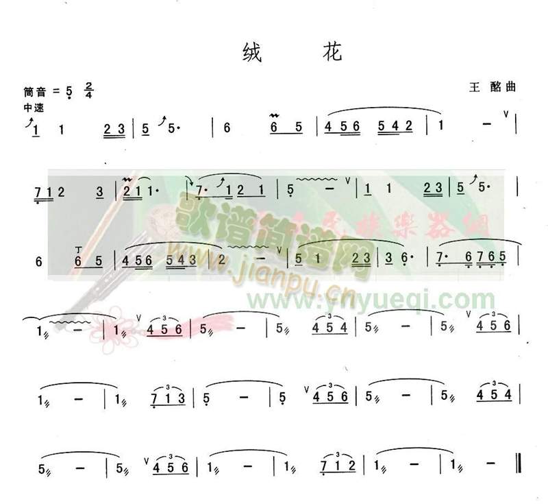 绒花1