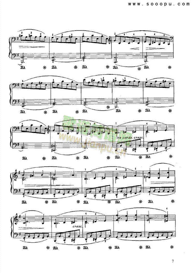 半音圆舞曲 键盘类 钢琴7