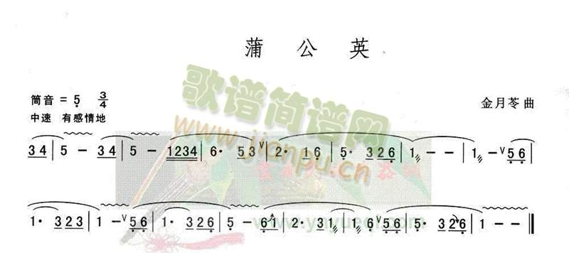 蒲公英1