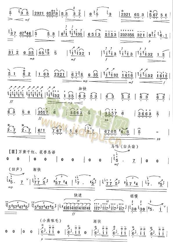 百鸟引(七级)2