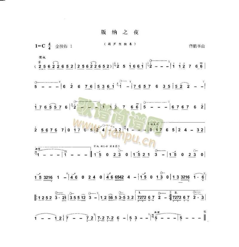 版纳之夜1