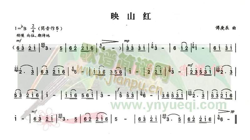 映山红1