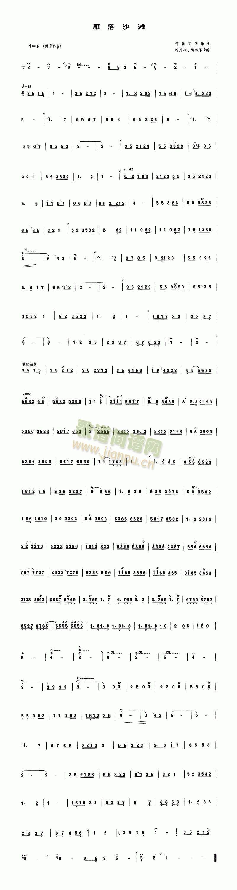 雁落沙滩1