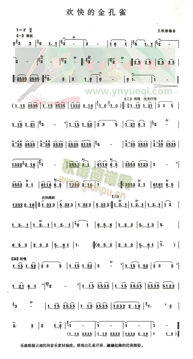 欢快的金孔雀1
