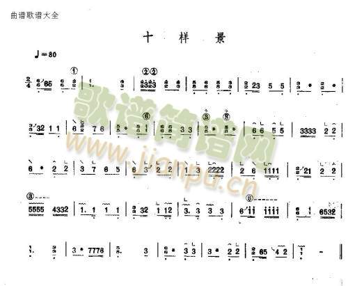 十样景1