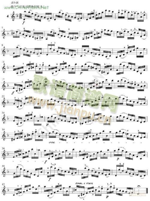 顿特《小提琴练习曲24首》 作品37 (1-8)5