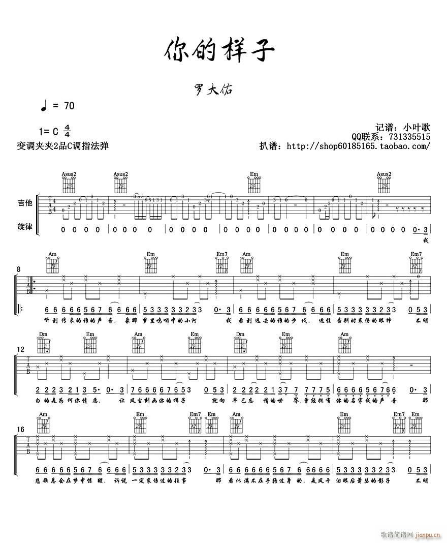 你的样子 ( 林志炫 C调原版)_罗大佑1
