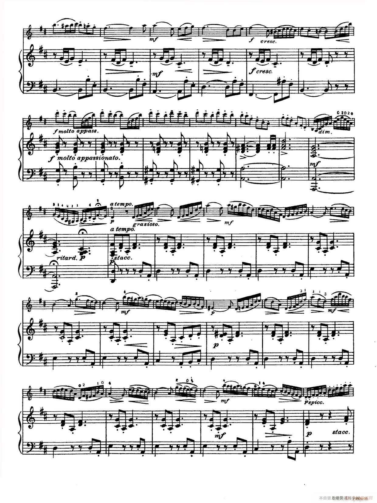 D大调学生协奏曲（塞茨作品第15号）11
