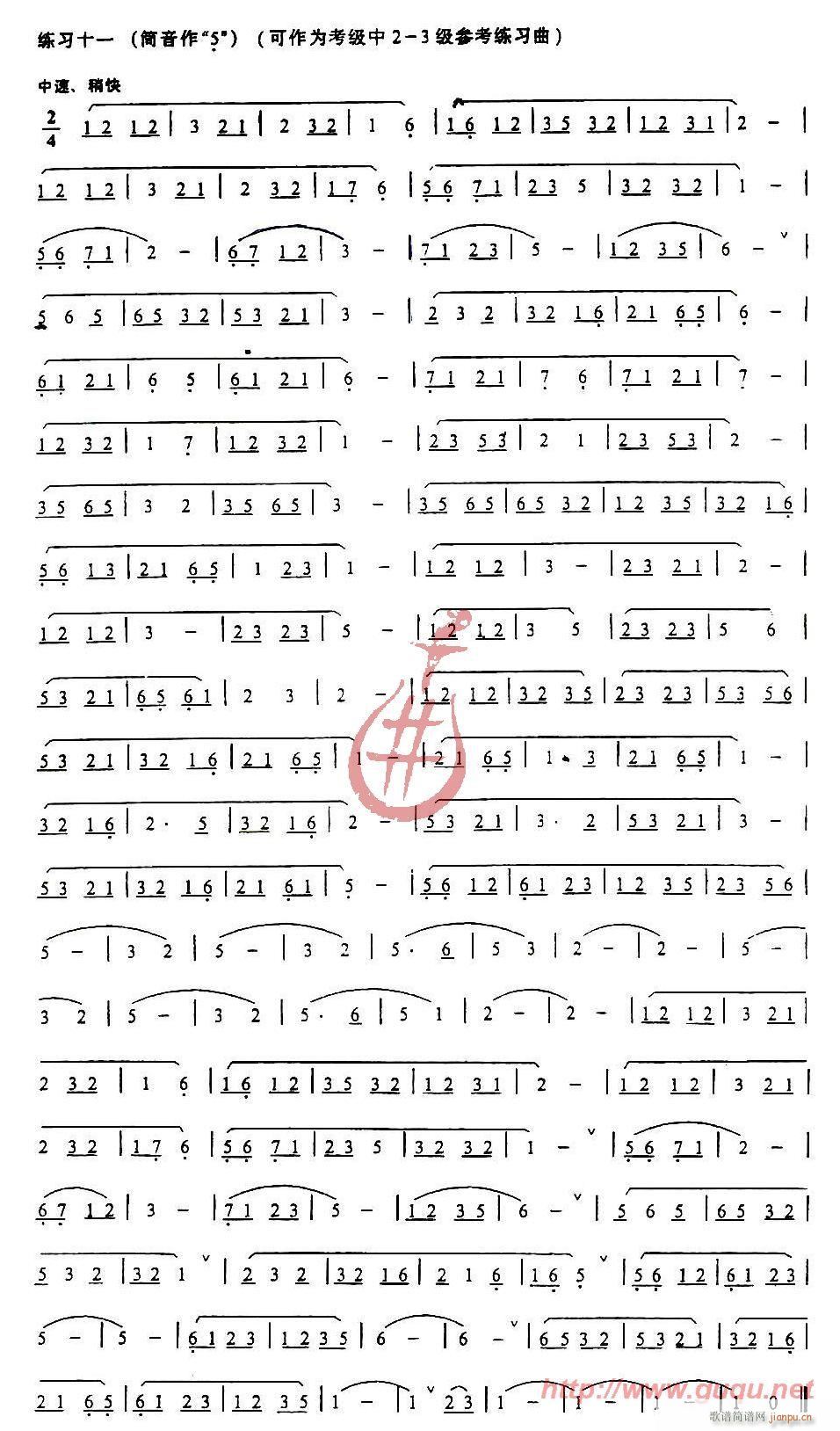 发音、长音及基础练习11