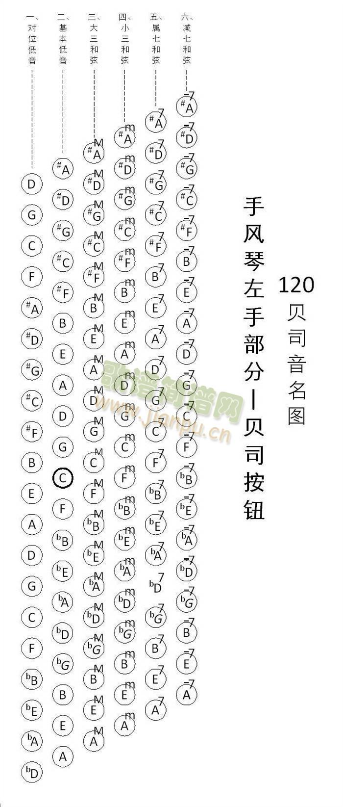 手风琴 120贝司音名图2