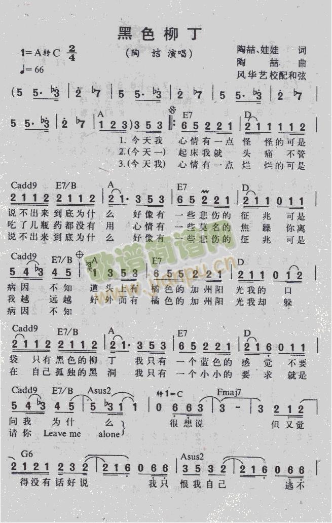 黑色柳丁1