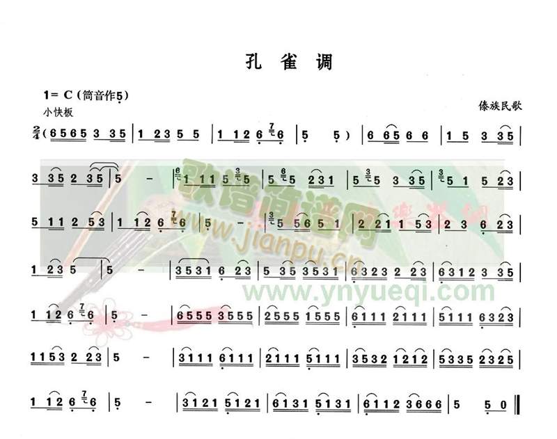 孔雀调1