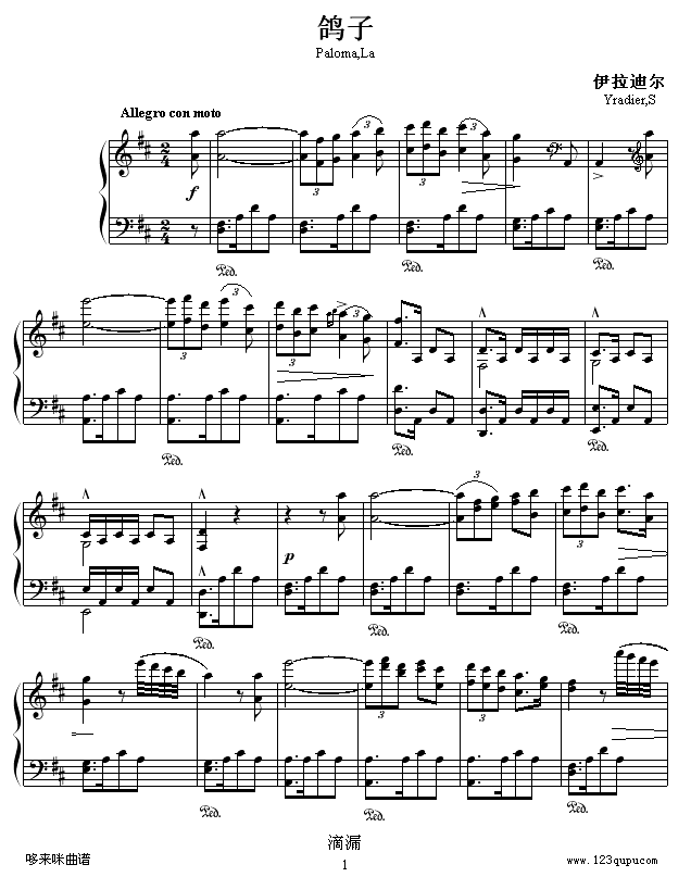 鸽子-伊拉迪尔1