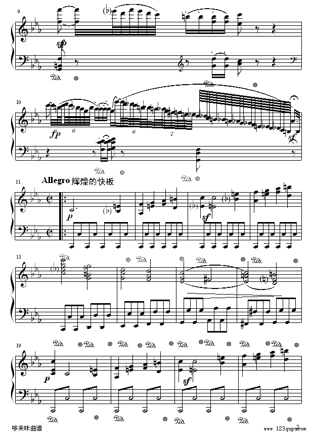 悲怆奏鸣曲第一乐章-贝多芬2