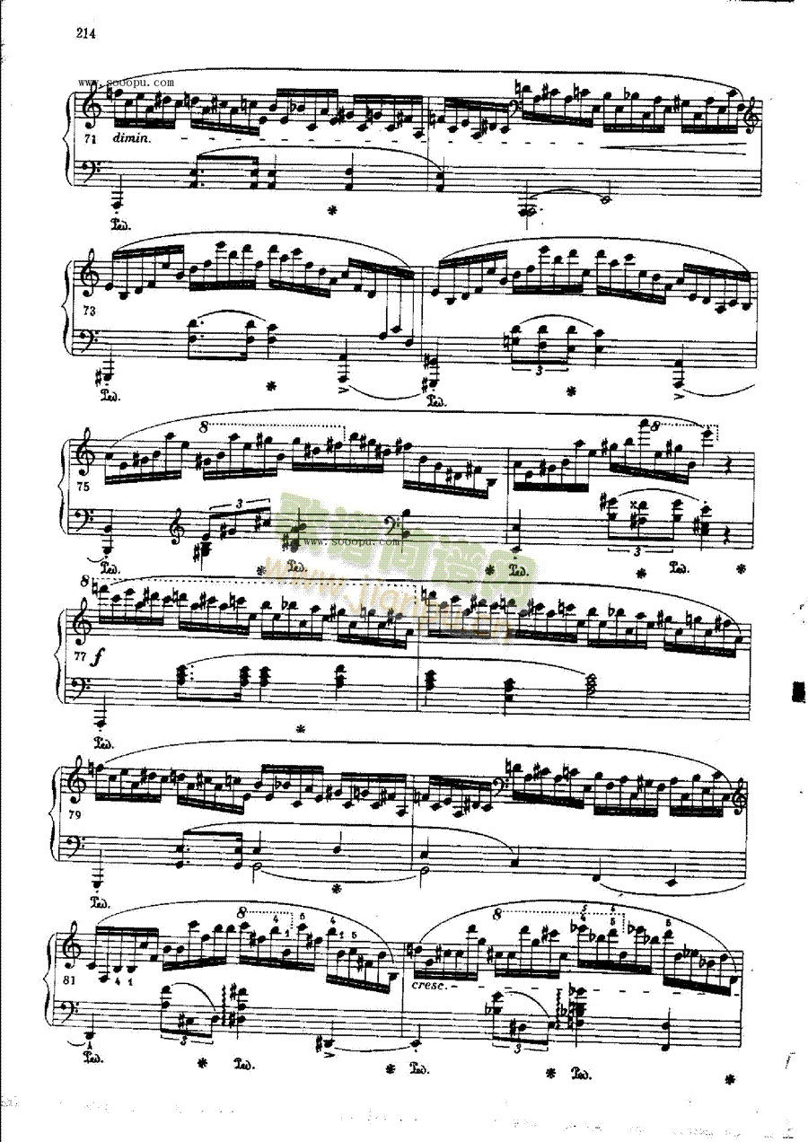练习曲OP.25  Nr11 键盘类 钢琴7