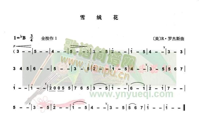 雪绒花1