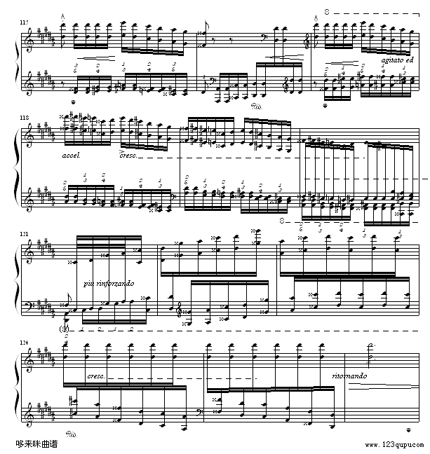 钟-李斯特12
