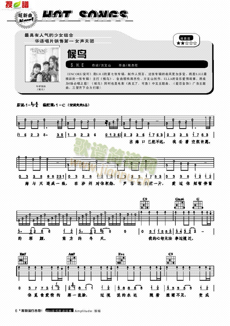 候鸟-弹唱 吉他类 流行1