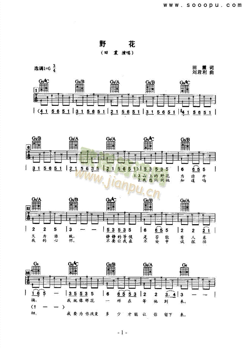 野花 吉他类 流行1