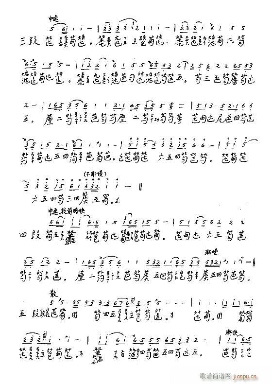 古琴-袍修罗兰25-311