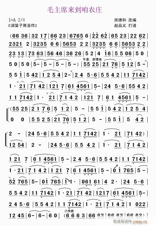 笛子独奏 毛主席来到咱农庄11