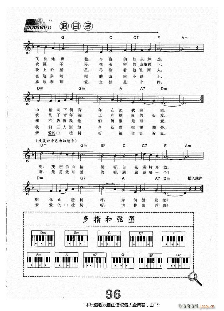 电子琴山楂树2