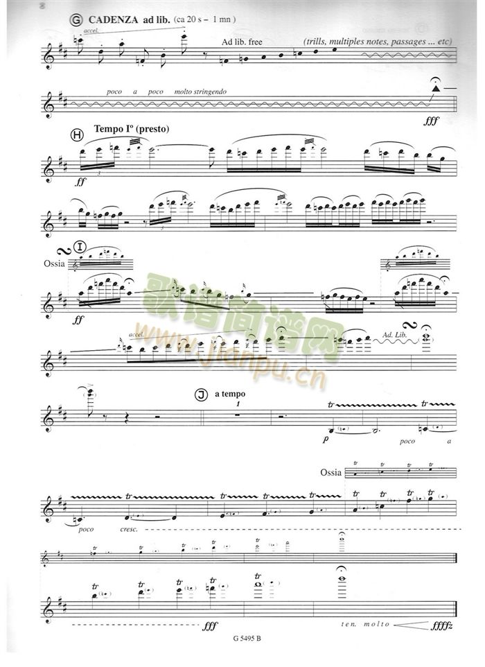 须川展也的《Fuzzy Bird Sonata》(Fly, Bird)毛绒鸟奏鸣曲三3