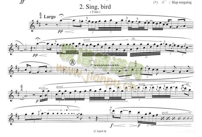 须川展也的《Fuzzy Bird Sonata》(Sing, Bird)毛绒鸟奏鸣曲二1