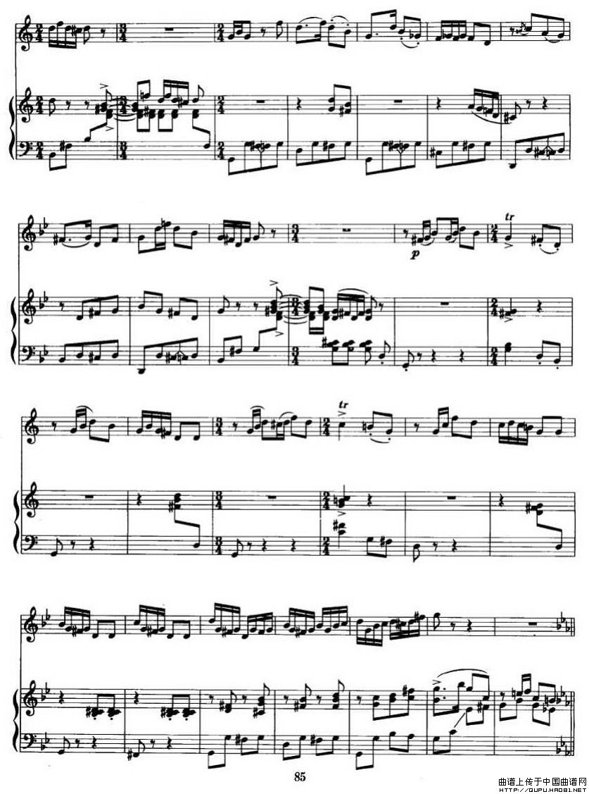 第二二胡狂想曲（二胡+钢琴伴奏）P61