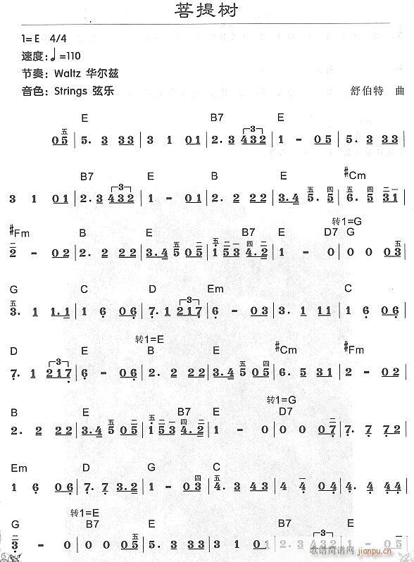 菩提树11