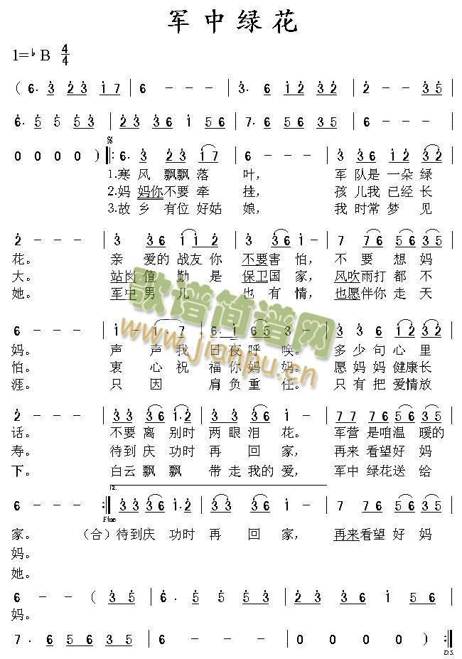 军中绿花1