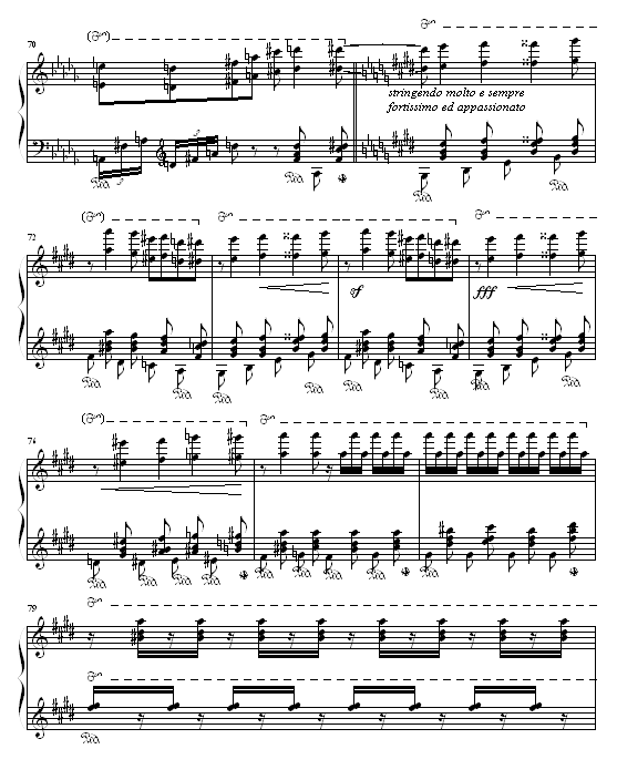 森林的呼啸13