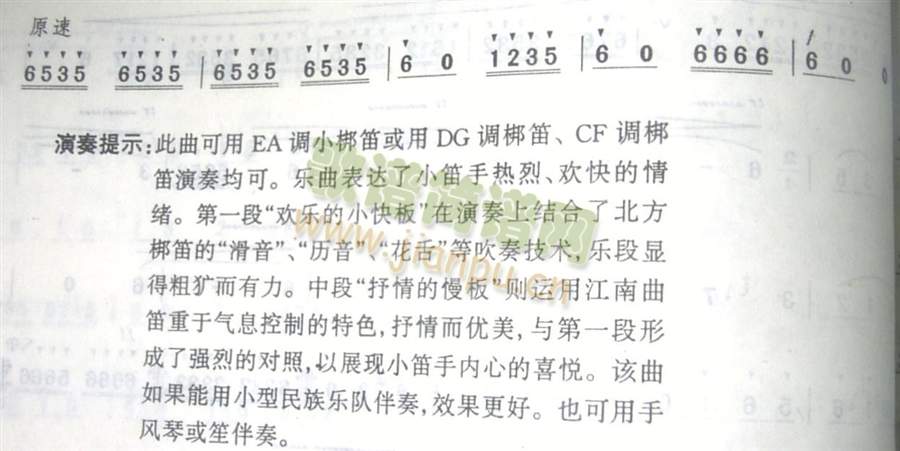快乐的小笛手1