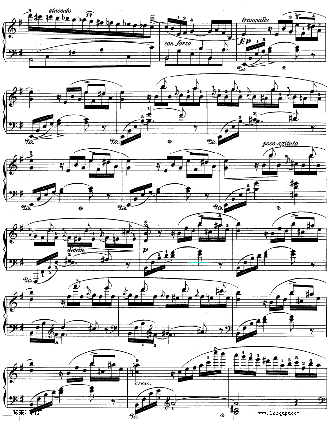 钢琴第一协奏曲 op.11-1-肖邦5