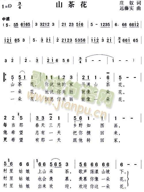 山茶花1