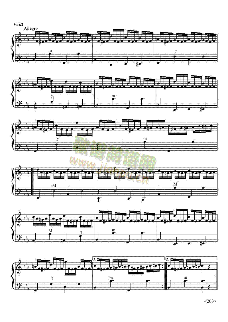 八级乐曲《乌克兰主题变奏曲》 键盘类 手风琴3