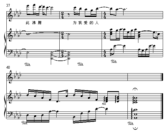 无条件为你5