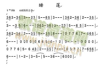 睡莲1