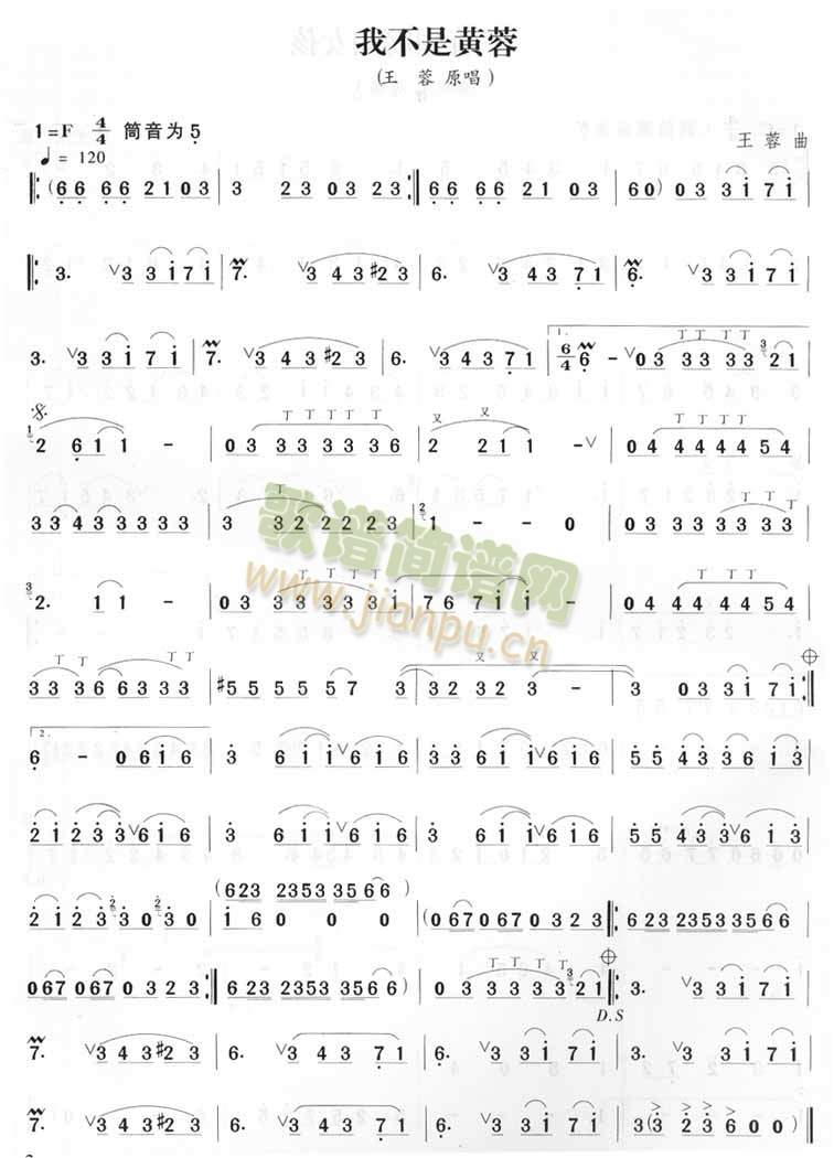 我不是黄蓉(王蓉)1