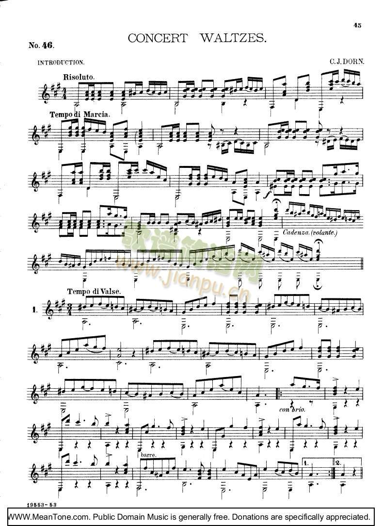 Concert Waltzes1