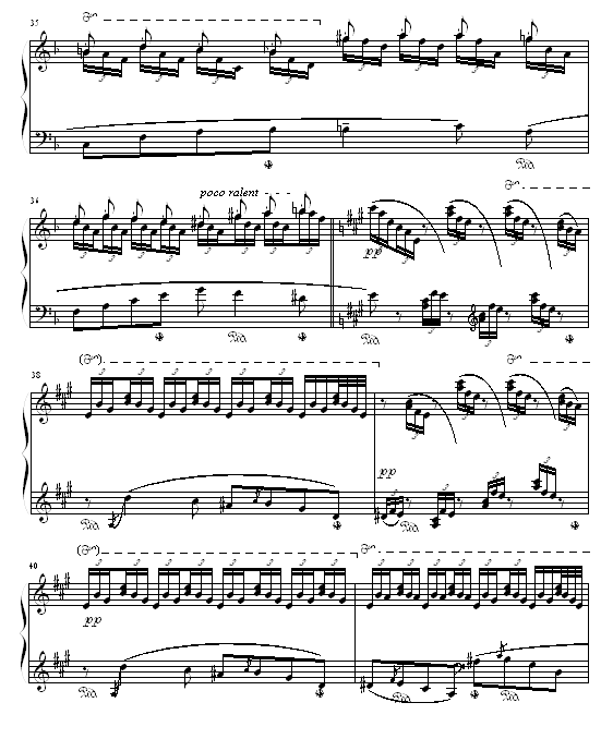 森林的呼啸7