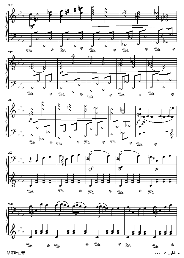 悲怆奏鸣曲第一乐章-贝多芬11