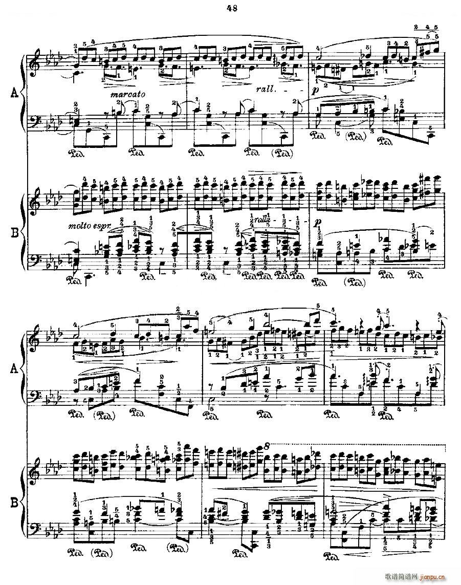 肖邦《练习曲》Fr Chopin Op 25 No2-310