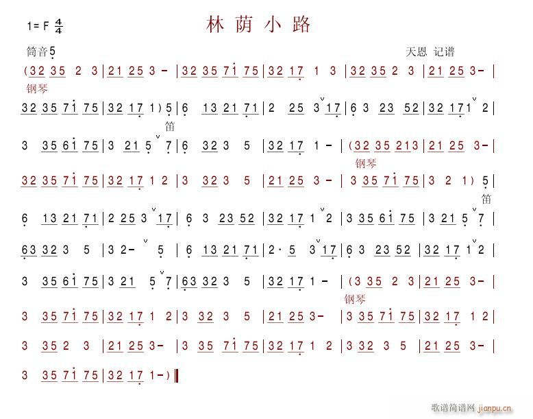 林荫小路1